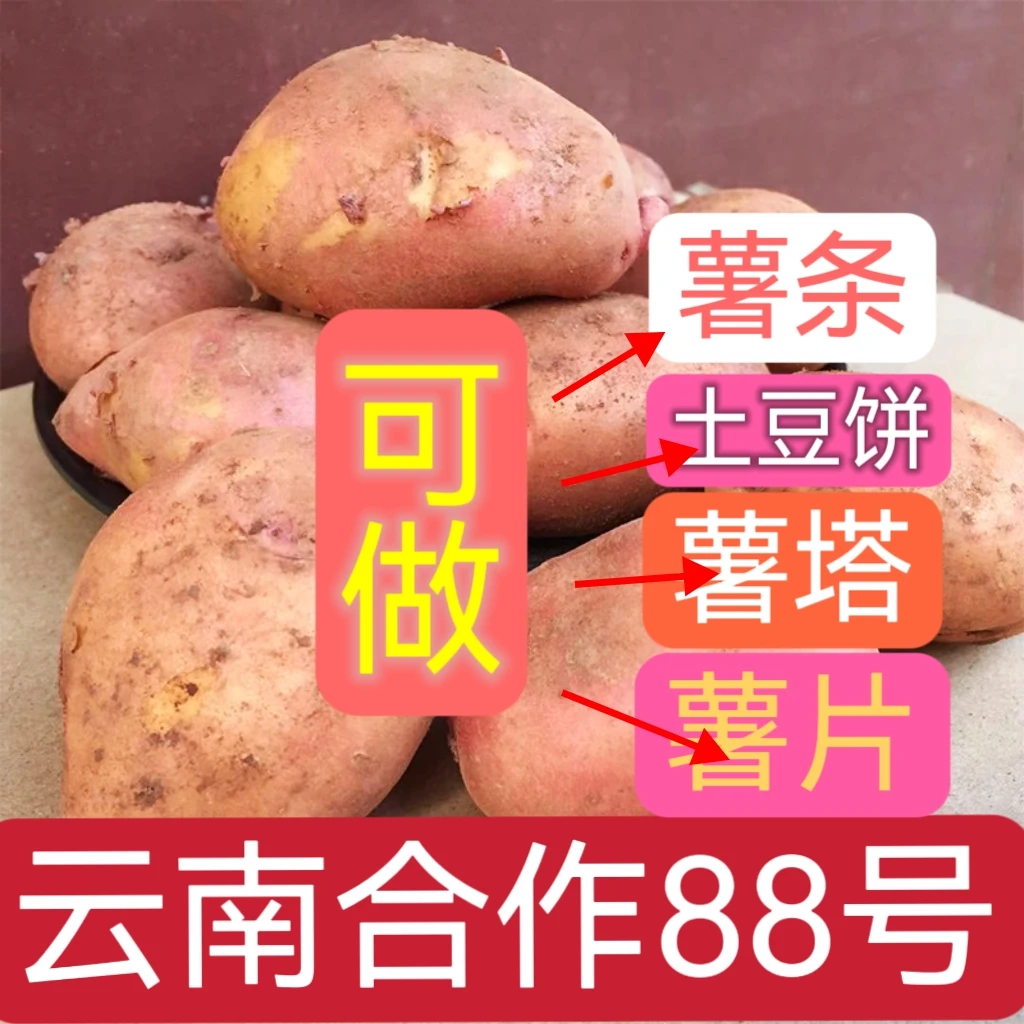 云南合作88号土豆正宗红皮黄心3/5/9斤新鲜现挖洋芋马铃薯