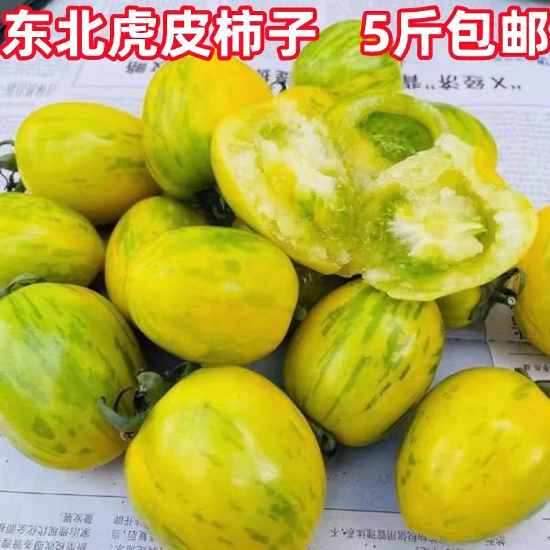 东北虎皮柿子5斤装