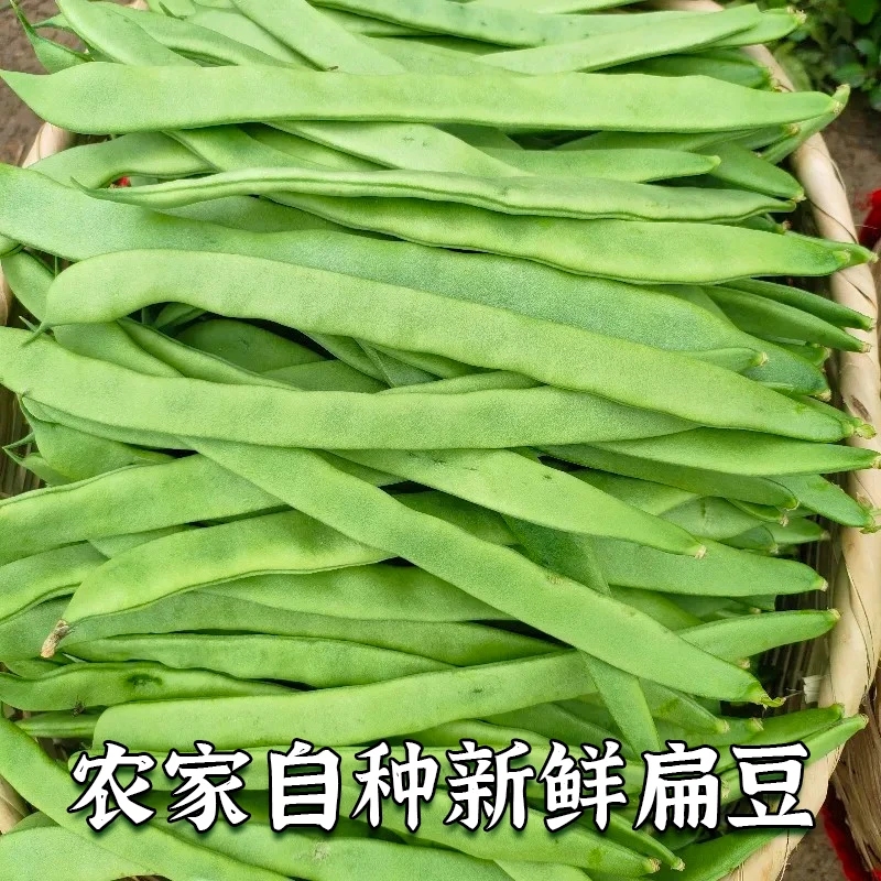 农家自种新鲜现摘扁豆脆嫩清甜云南应季蔬菜3斤/5斤