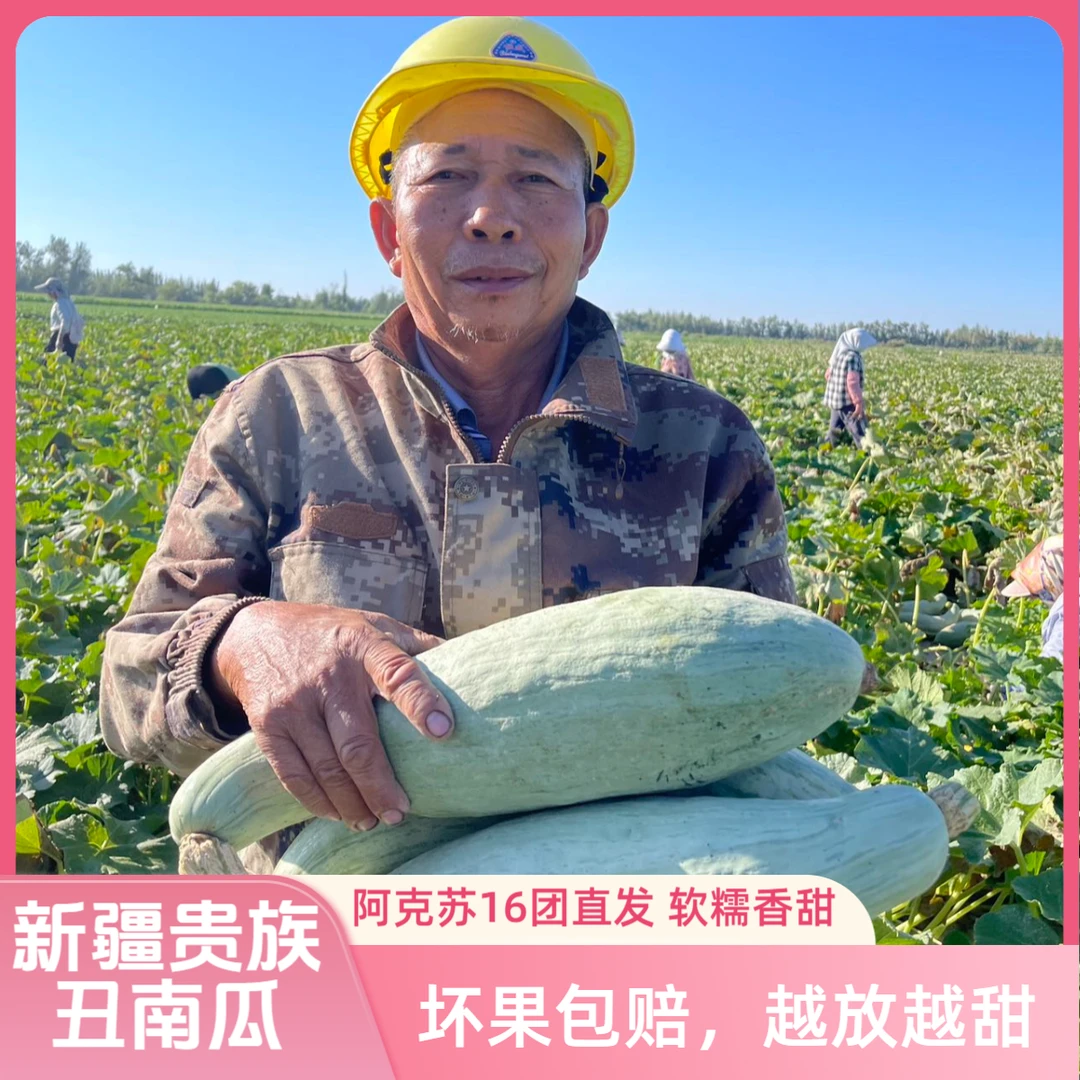 【新疆贵族丑南瓜】新疆直发沙漠露天种植口感细腻软糯香甜粉糯可口