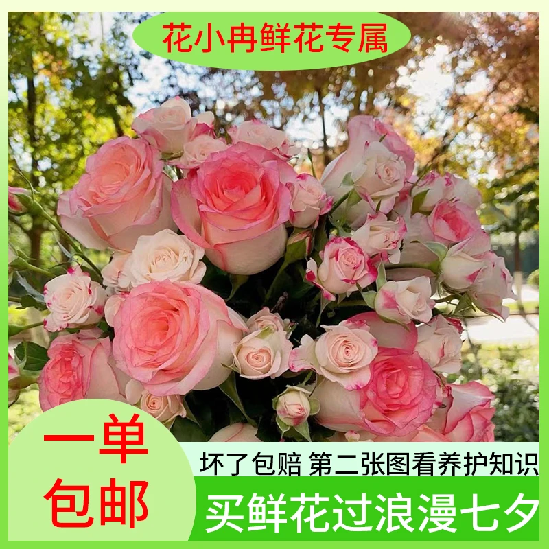 浪漫七夕礼【粉色系6件：艾莎多头折射洋桔梗康乃馨粉色绣球黄莺】