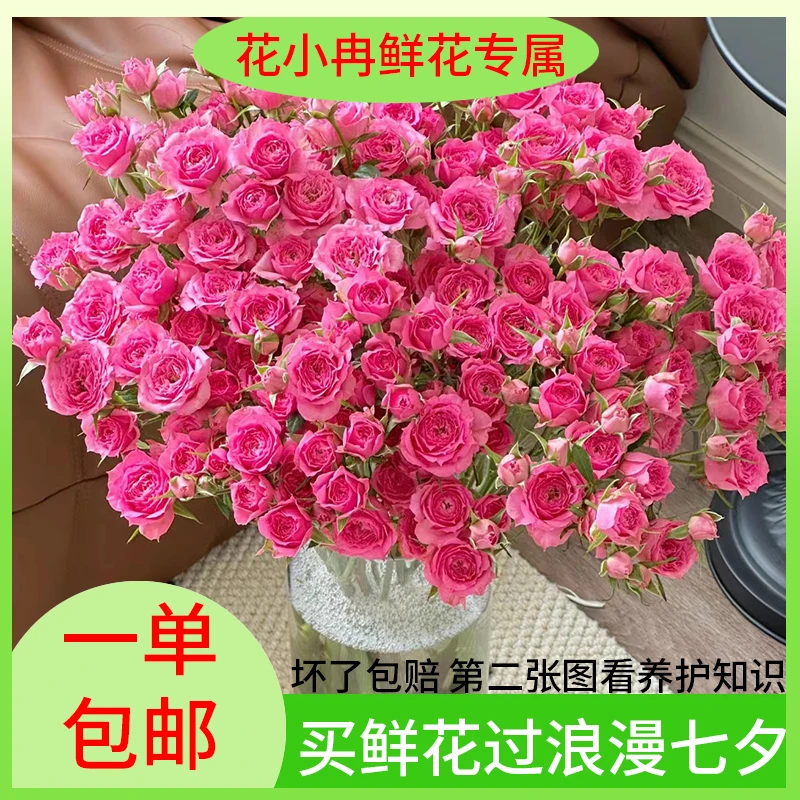 浪漫七夕礼【多头玫瑰福利：多头橙色芭比多头苏菲粉玫瑰黄莺】