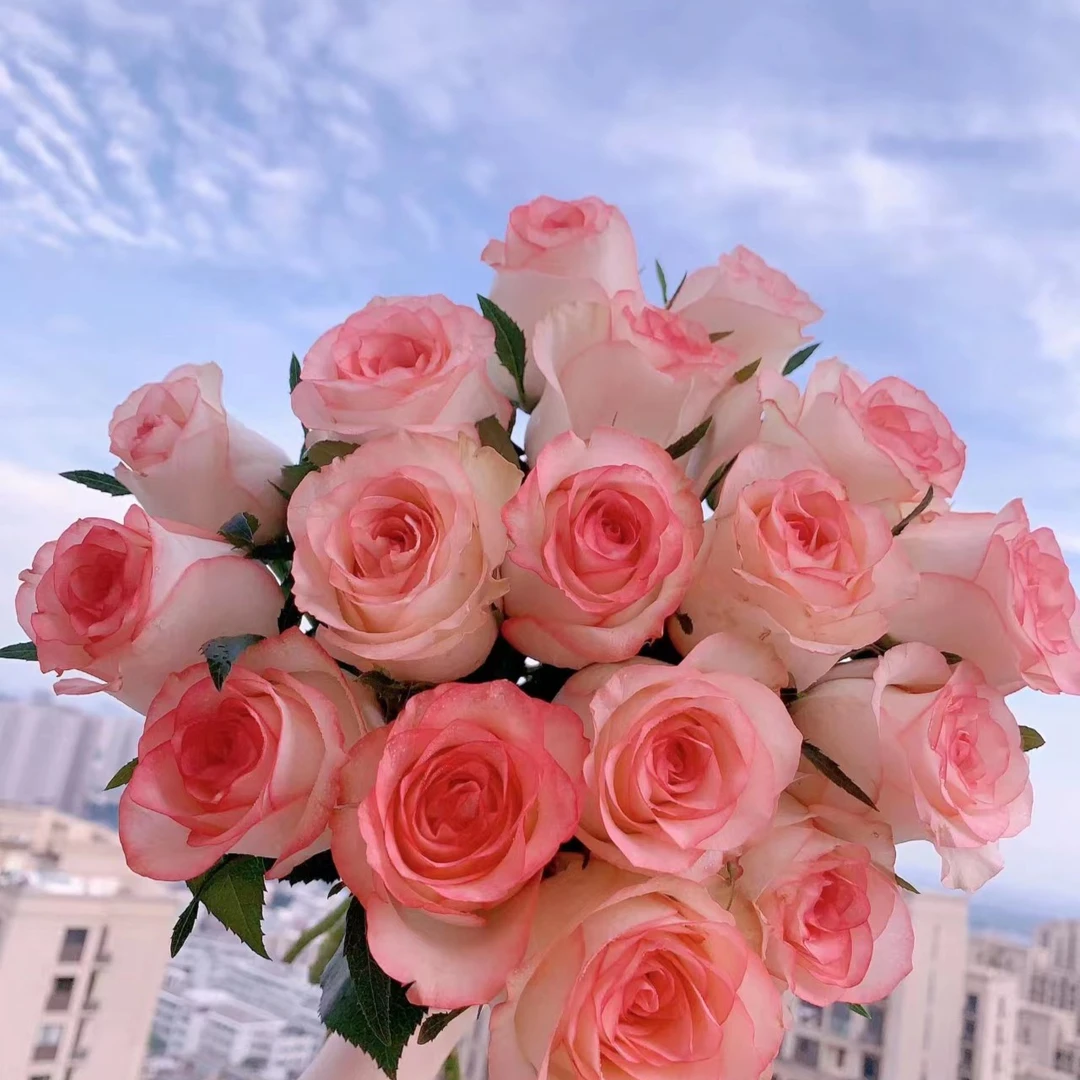 年宵花艾莎满天星玫瑰百合云南直发包邮批发直播康乃馨向日葵配草