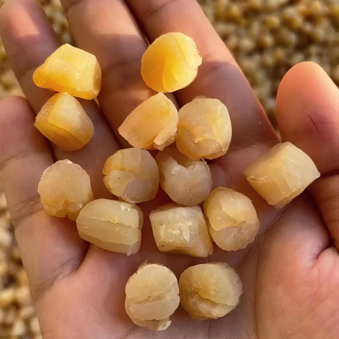中瑶柱干贝海味海产干货煲汤煲粥蒸水蛋新鲜特产