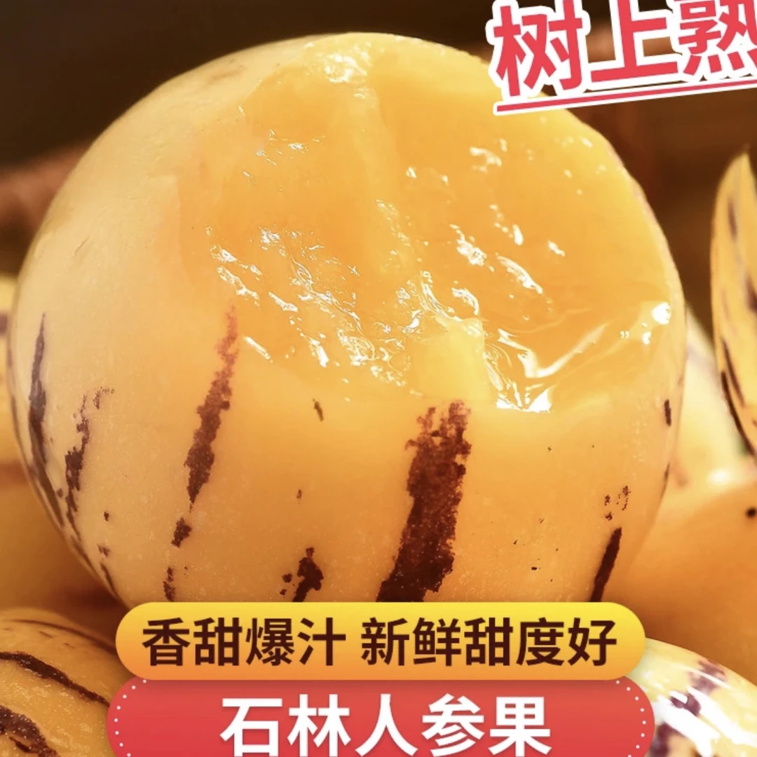 【顺丰】云南风化石树上熟人参果