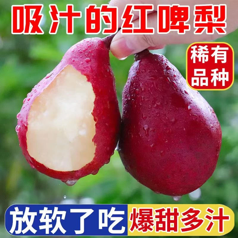 稀有品种红啤梨【放软吃】香甜多汁果园现摘现发红皮梨子4.5-8.5斤