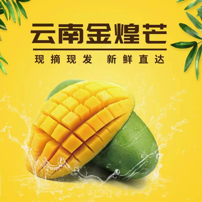 【云南金煌芒】 带箱5斤 4-7个果 肉厚果核薄  无筋无丝  细腻3