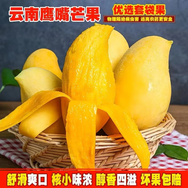 【放软食用】云南鹰嘴芒肉厚果核薄软糯甘甜  带箱5斤装  坏果包赔F
