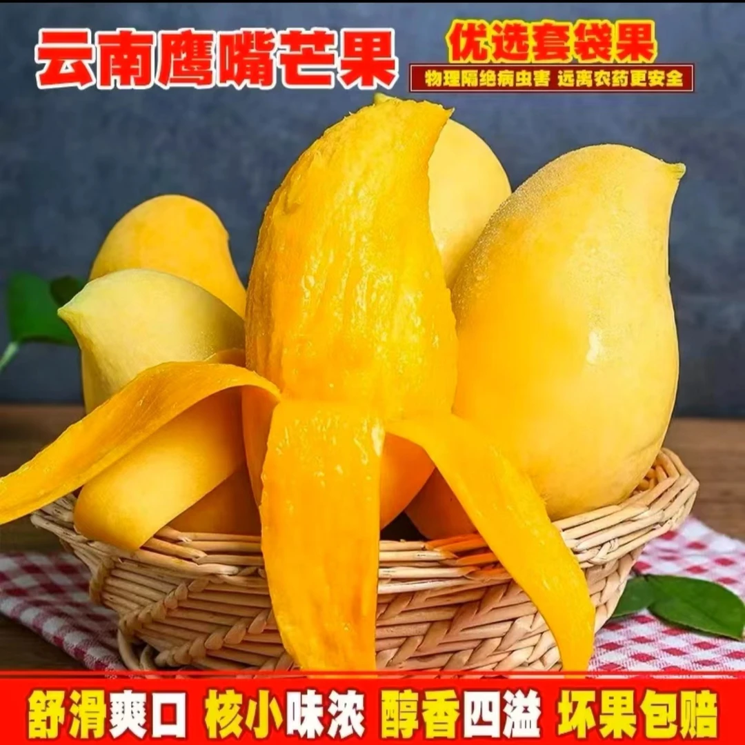 【云南鹰嘴芒】 带箱3斤  当季精品套袋果  肉厚果核薄  M