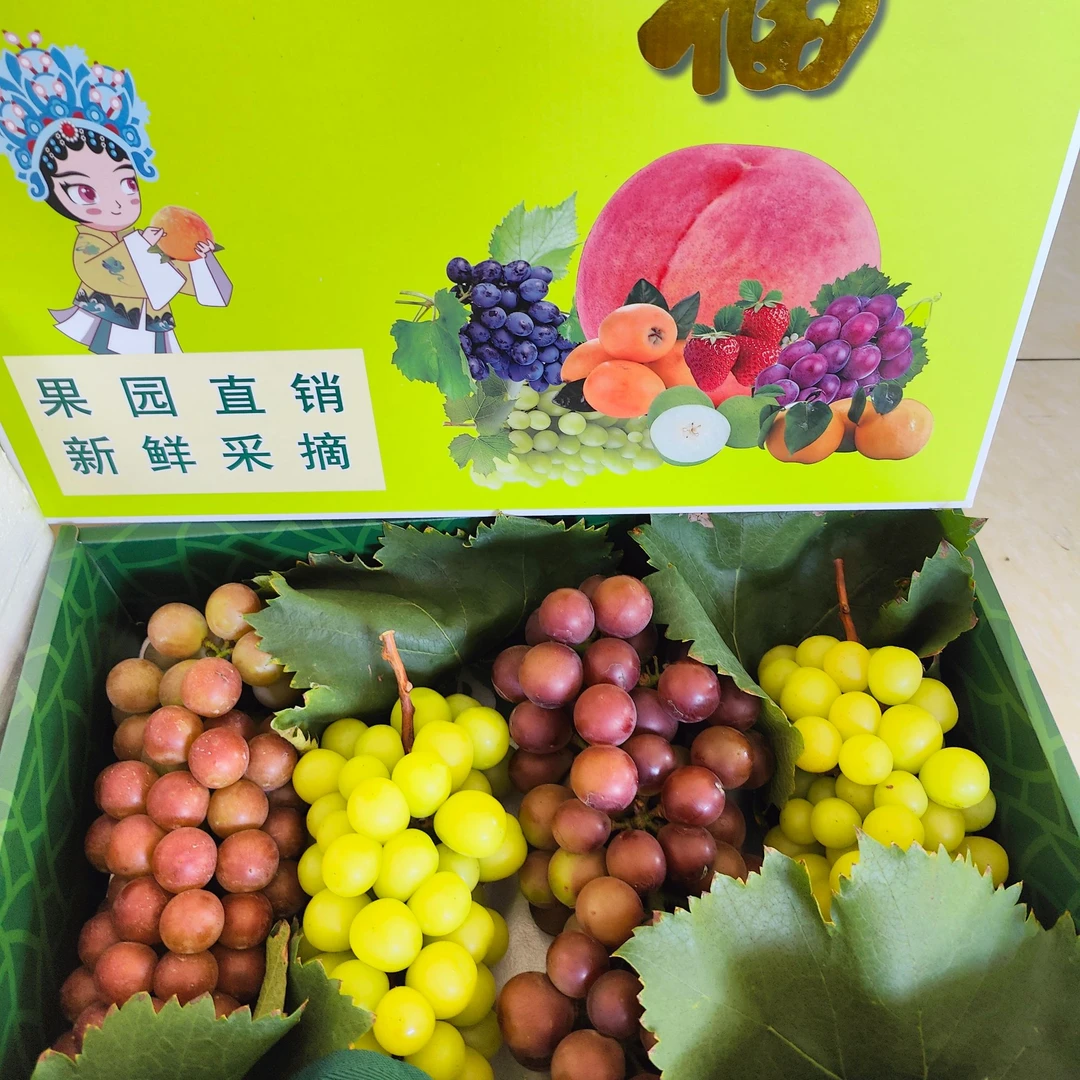 先福银奖葡萄二种口味混搭 3斤