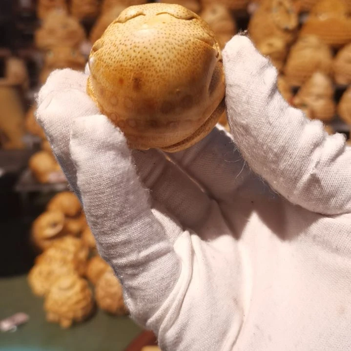 【闪购商品】竹雕金蟾摆件挂件