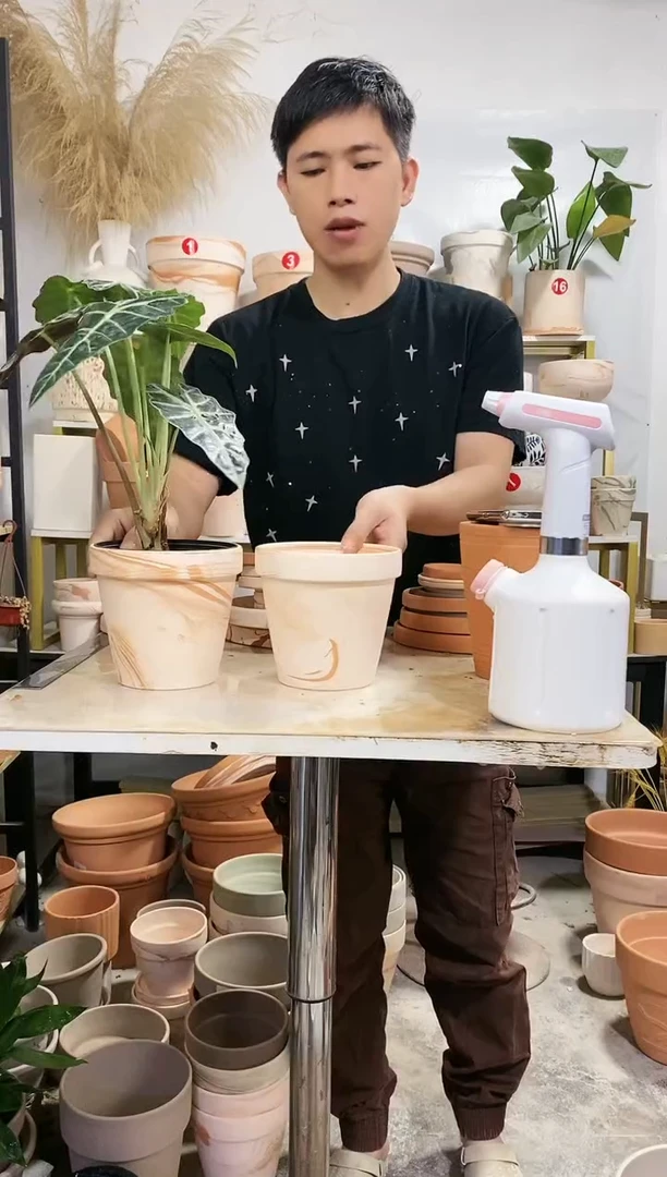 【闪购商品】红陶20CM以下15*14玛奇朵 2盆无托