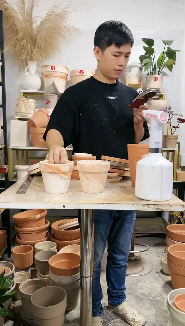 【闪购商品】12*11玛奇朵 2盆无托