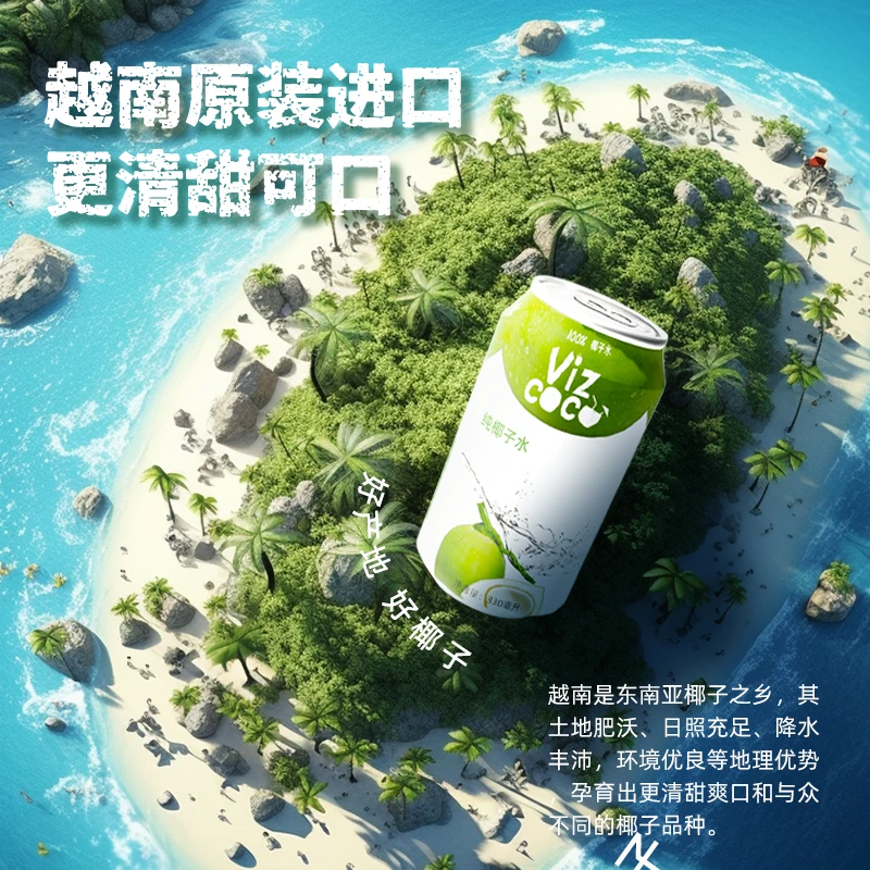 VIZCOCO越南进口100%纯椰子水330ml*6原装进口含电解质罐装