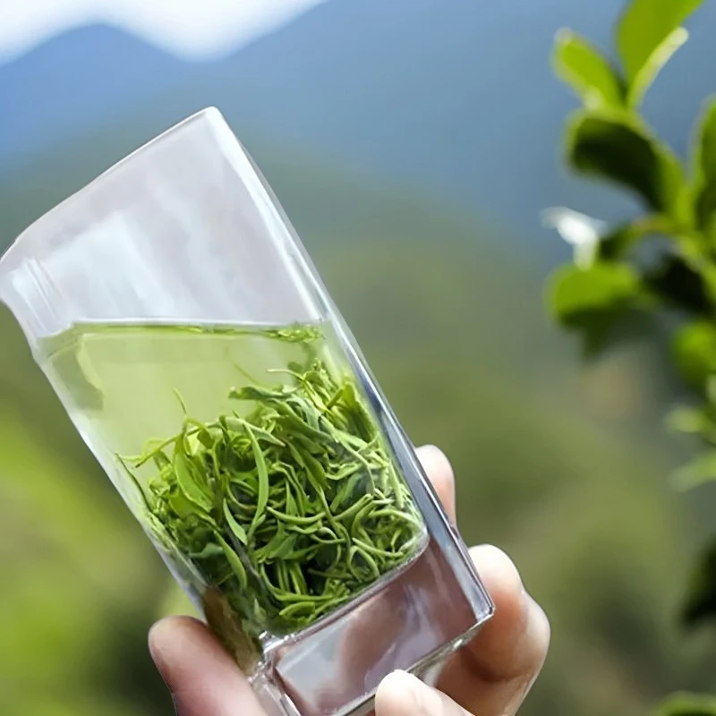【谷雨口粮茶】2025年江西狗牯脑秋茶浓香耐泡型板栗香味