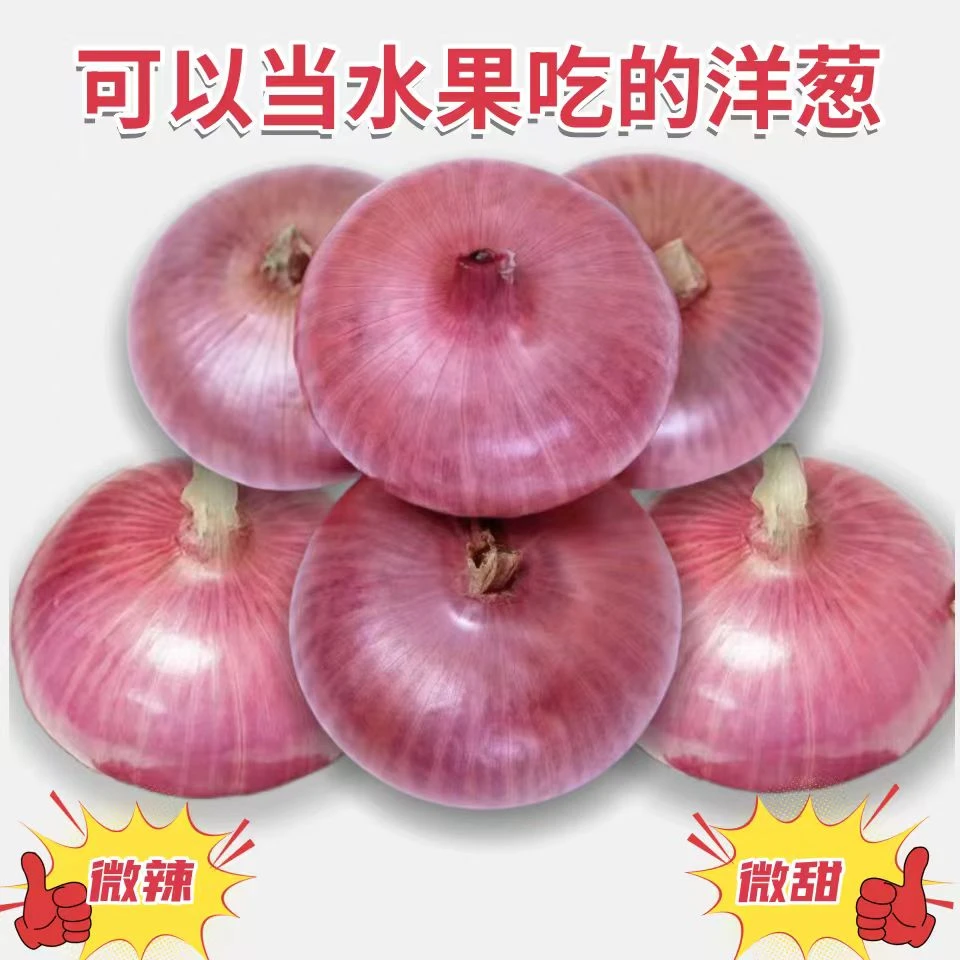 山东二红扁洋葱24年自然干水果洋葱香辣鲜嫩清脆饱满生吃凉拌蔬菜