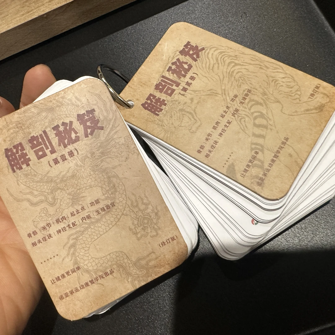 运动健康肌肉解剖mini图鉴