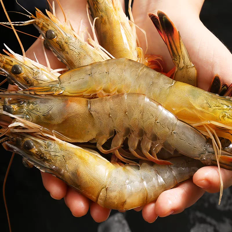 2030大大号海洋大虾新鲜活虾速冻5斤5大包装顺丰快递海捕大虾