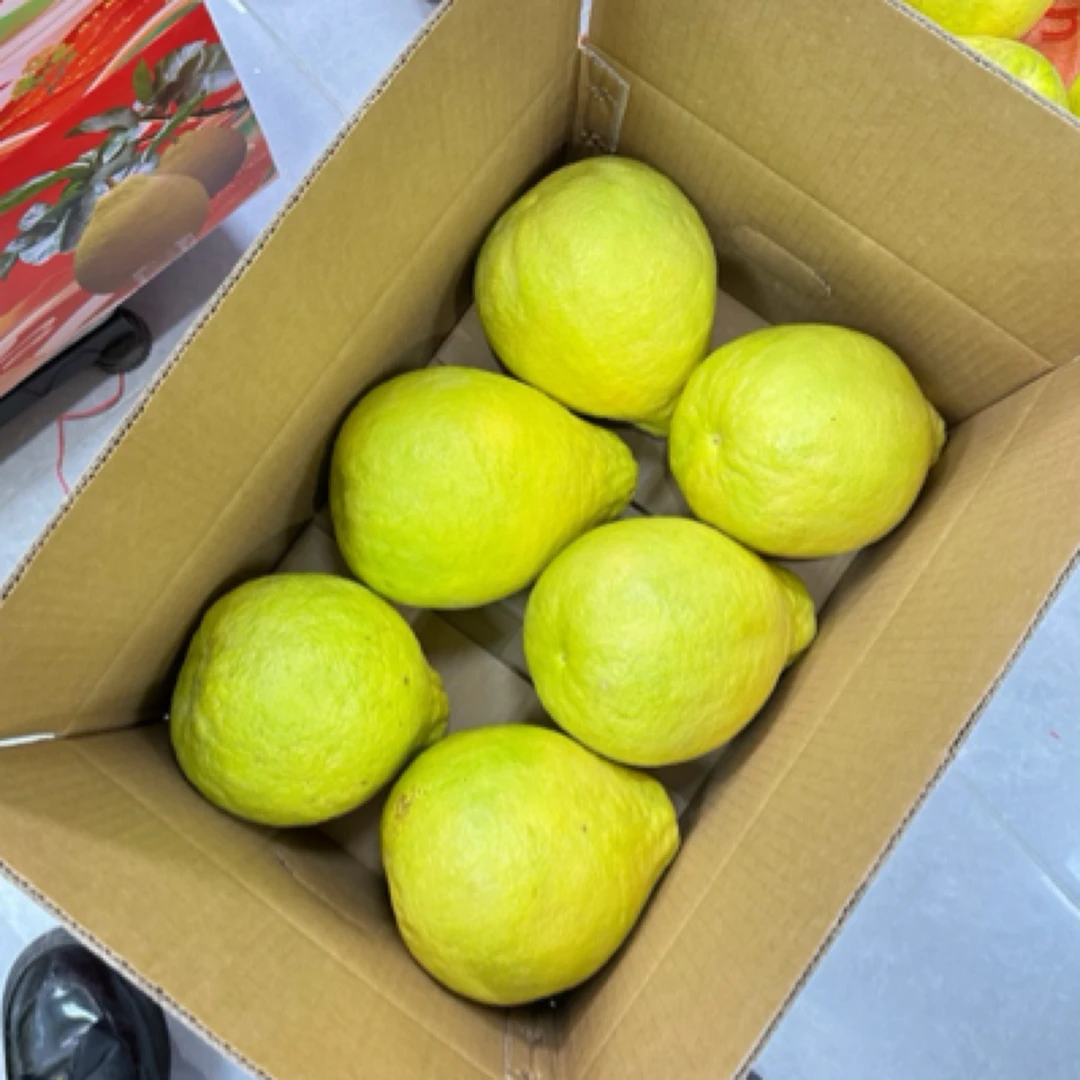 容州中平正宗广西容县沙田柚纯甜不酸新鲜水果应季水果水分足