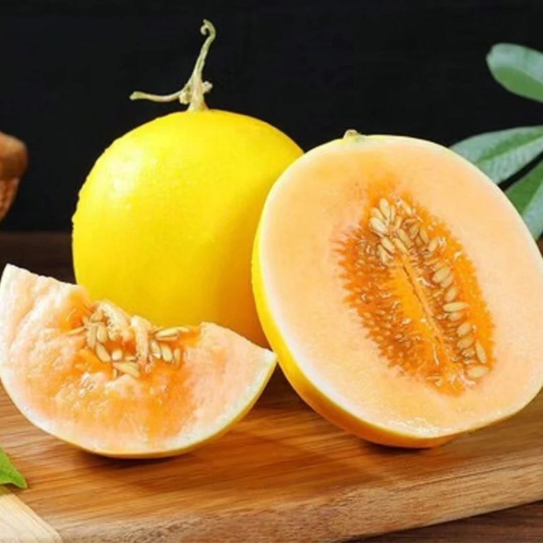 【黄河蜜瓜1颗】