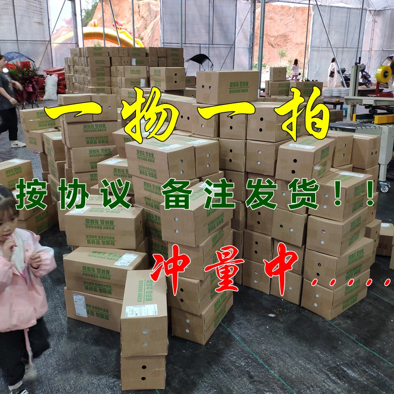 一物一拍看规格价格拍下盆栽花卉室内客厅庭院阳台绿植秋冬季新品