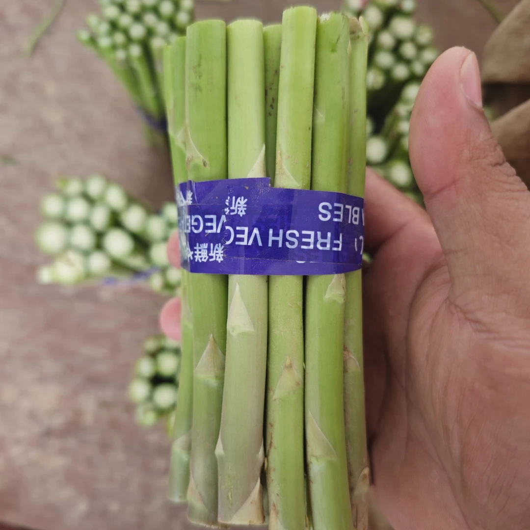 新鲜精品芦笋 芦笋段三斤装 现采现发 榨汁专用 京东包邮