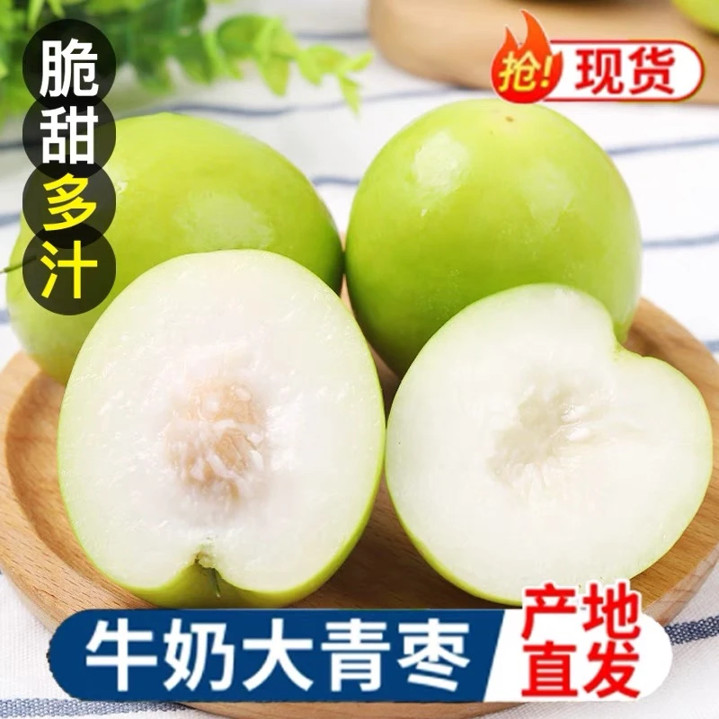 福建牛奶贵妃枣大青枣新鲜水果当季整箱大蜜枣冬枣苹果枣3/5斤