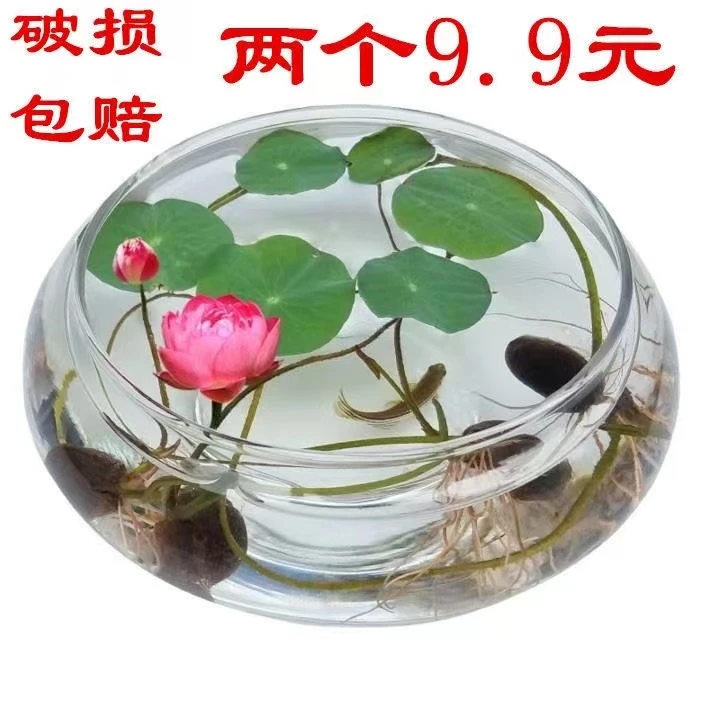 手工制作水培玻璃花盆碗莲铜钱草水仙花盆花瓶客厅阳台桌面摆件