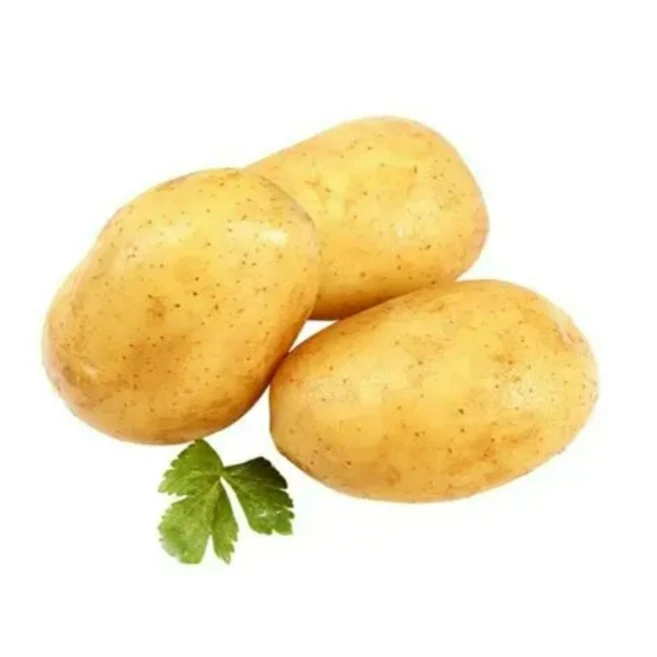 土豆约1斤