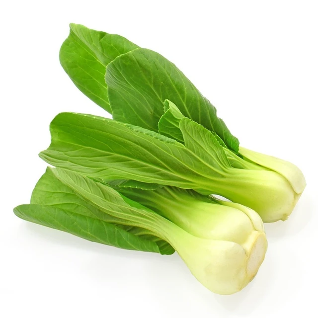 糖菜约1斤