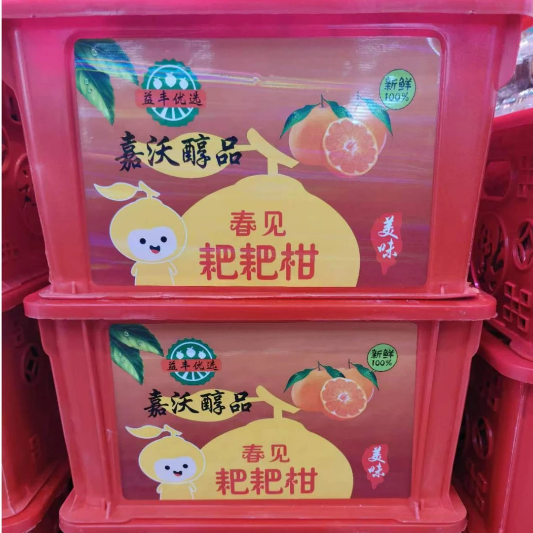 耙耙柑礼盒带皮约6斤