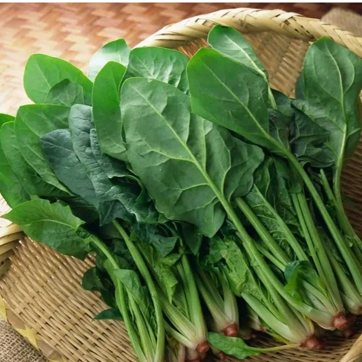 菠菜1斤左右