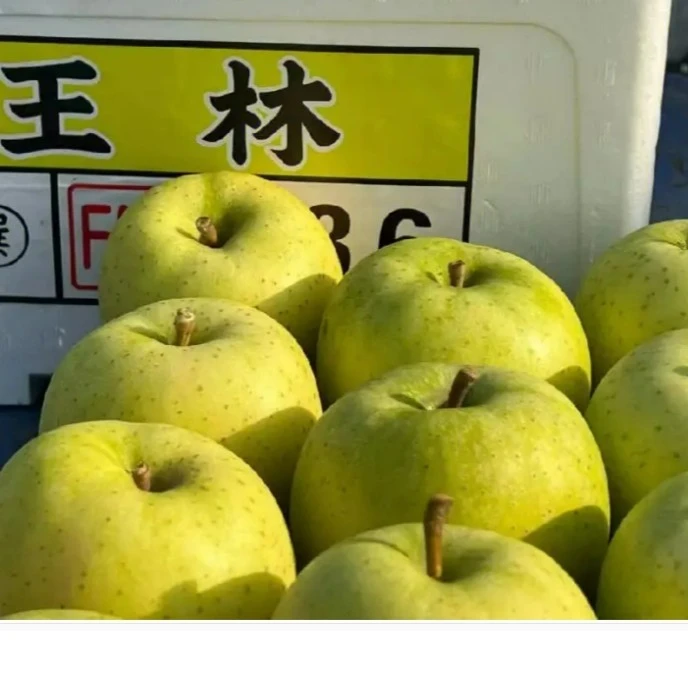 王林苹果约1.8-2斤