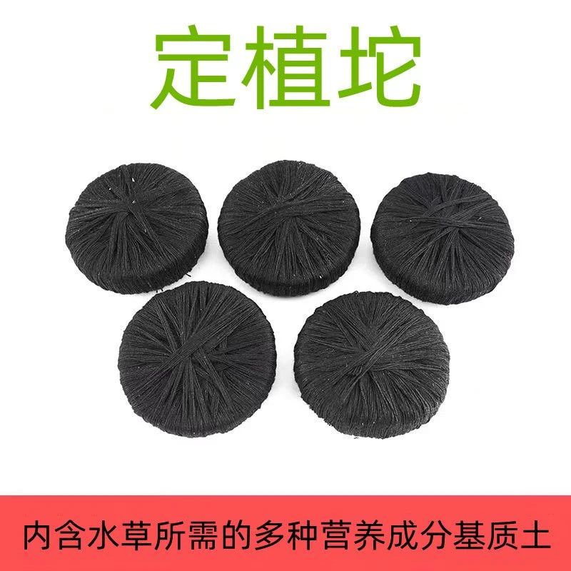 水草泥坨定植坨泥底坨定植基坨坨草