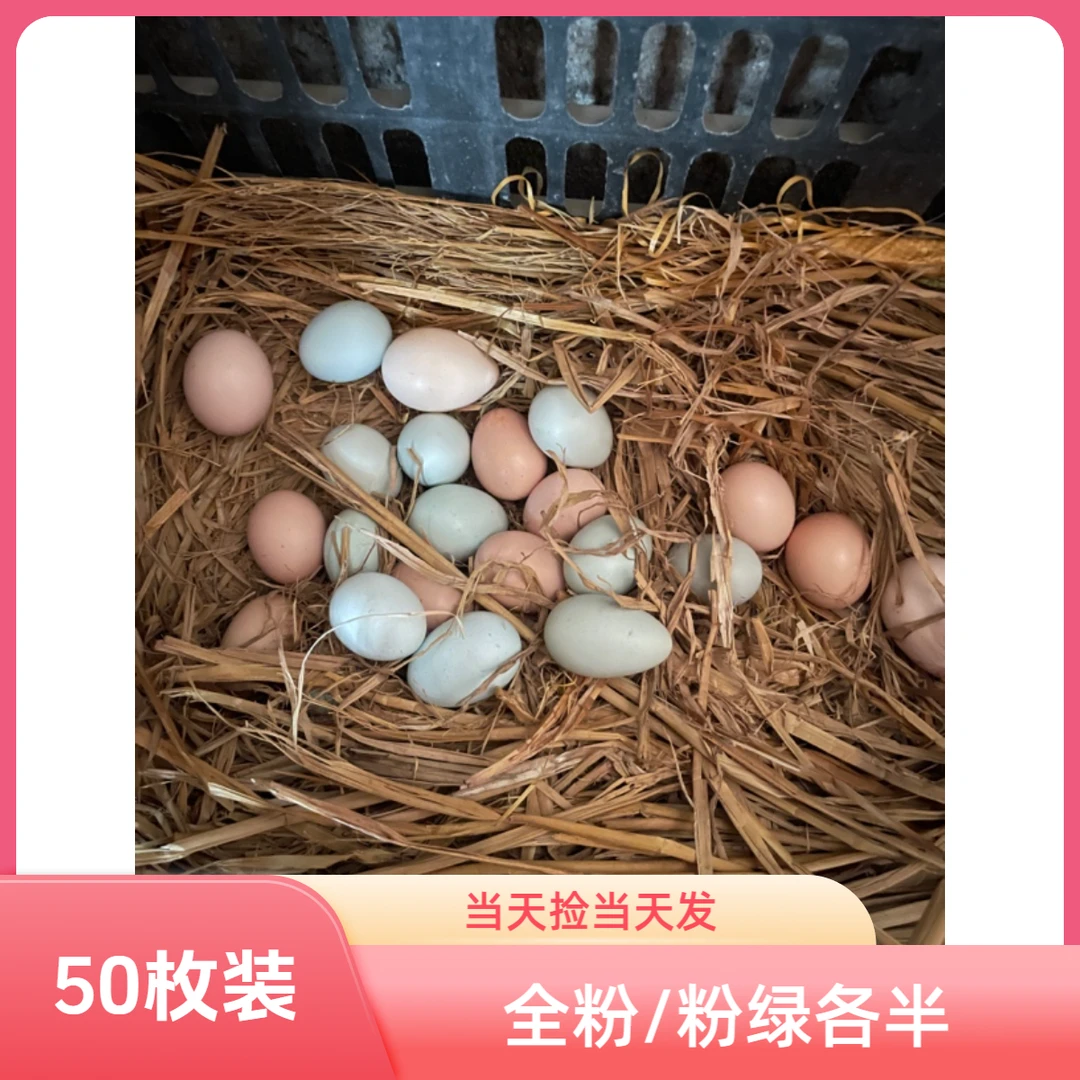 新鲜绿壳农村散养土鸡蛋50枚(粉绿各半/全粉)顺丰包邮