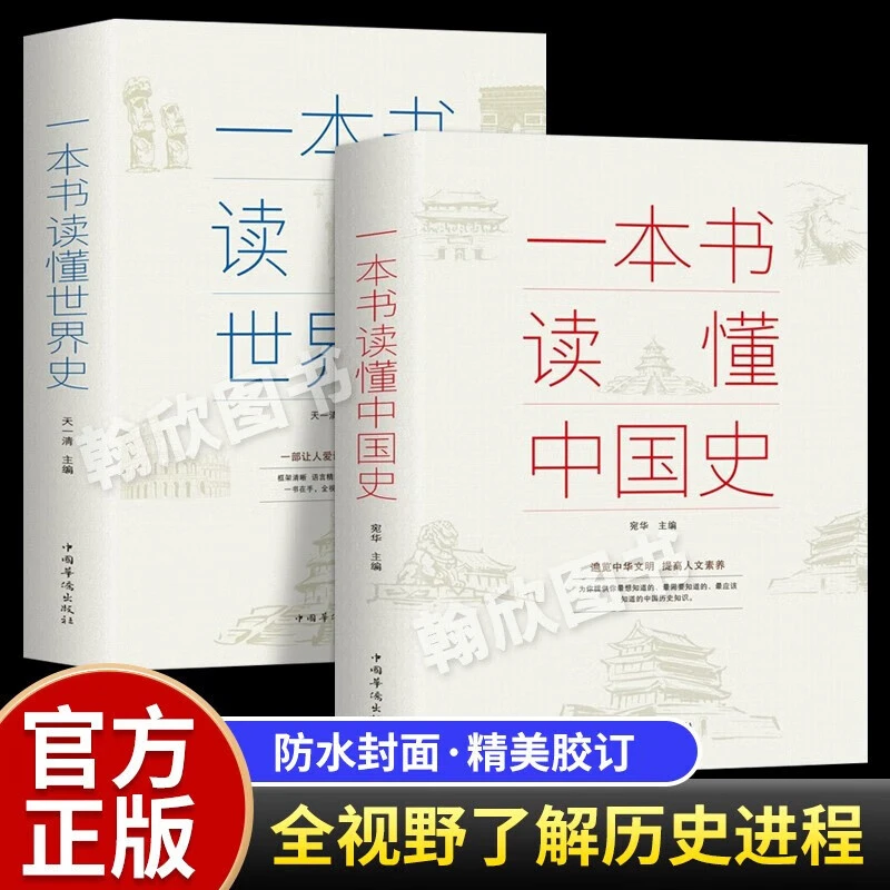 一本书读懂中国史世界史共两册一口气读懂历史大脉络通史纲要书籍