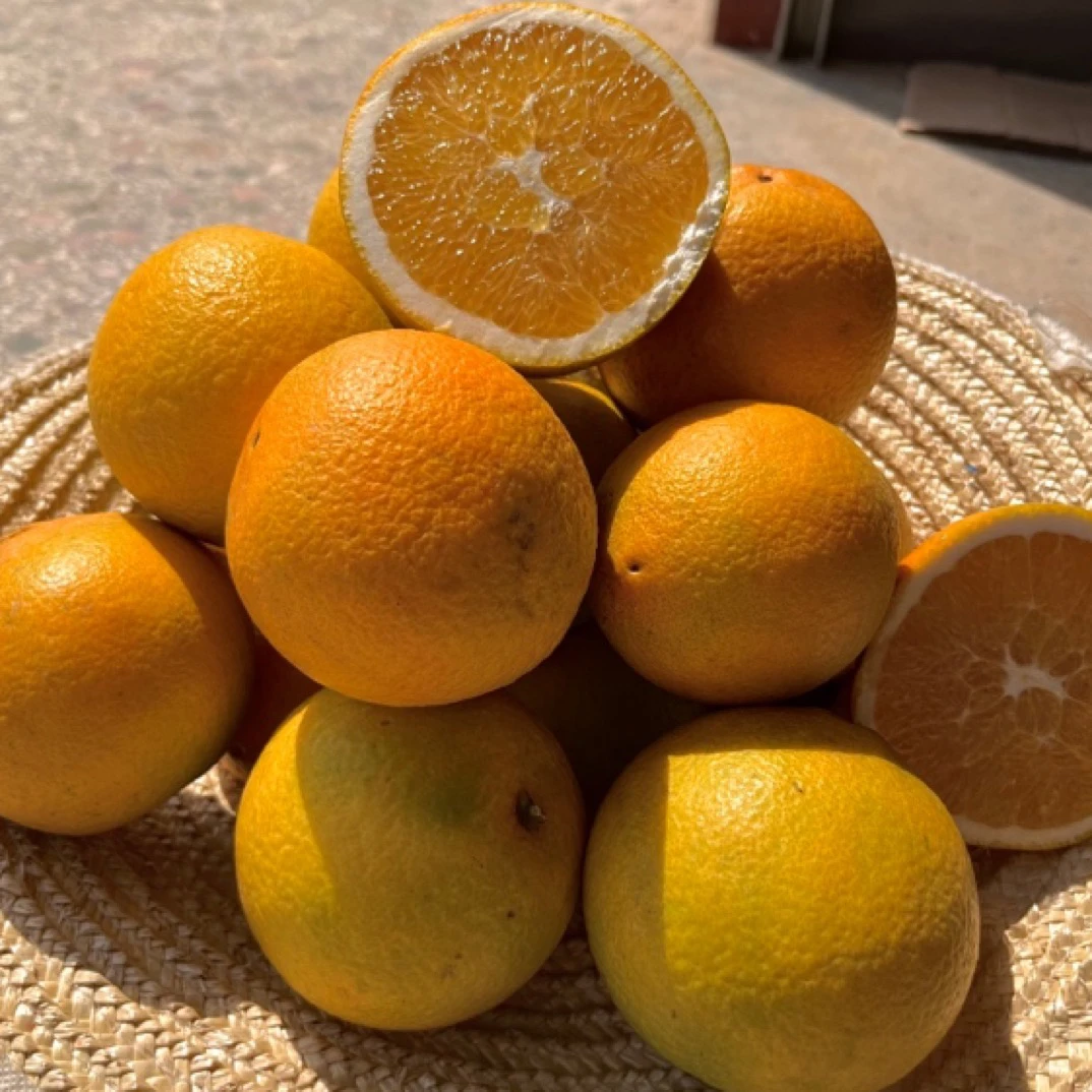 正宗江西赣南脐橙香甜细腻多汁皮薄酸甜应季水果农家香橙子新鲜