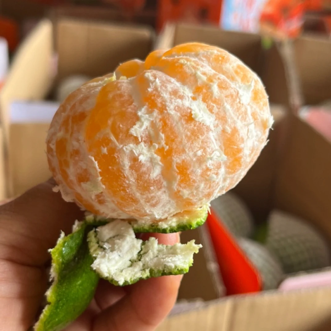 顺丰京东江西寻乌蜜桔皮薄青皮无核橘子新鲜应季孕妇水果酸甜多汁