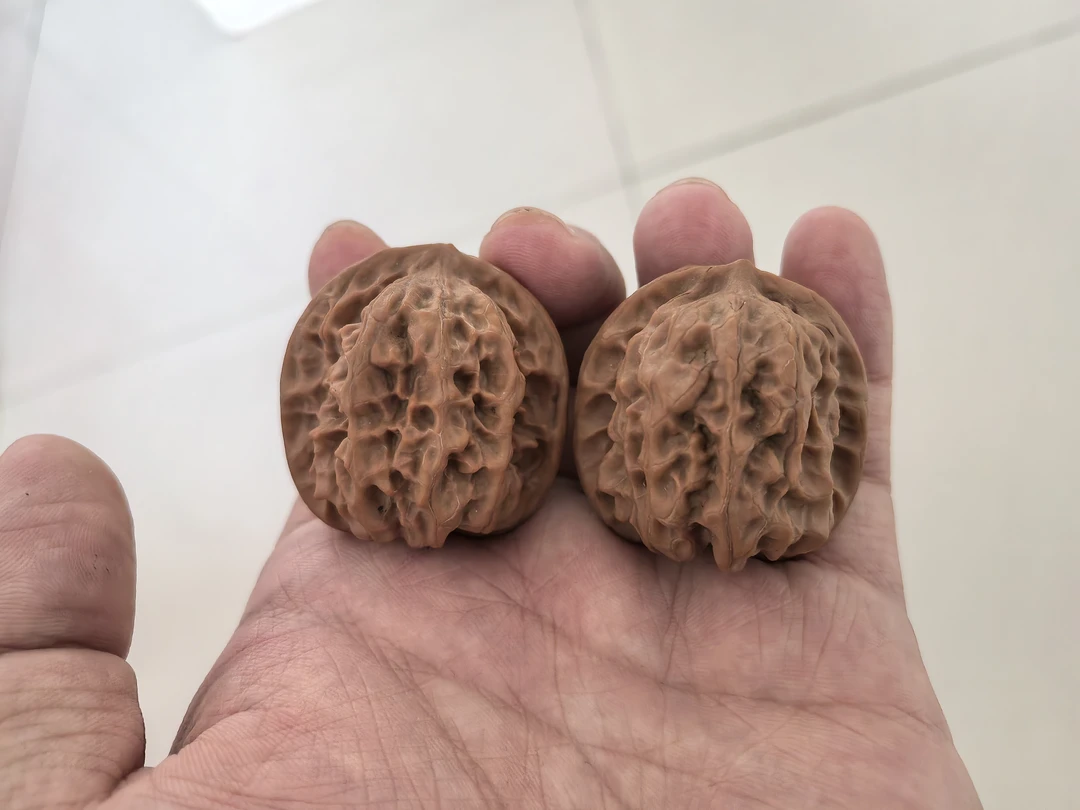 文玩核桃（一物一图）