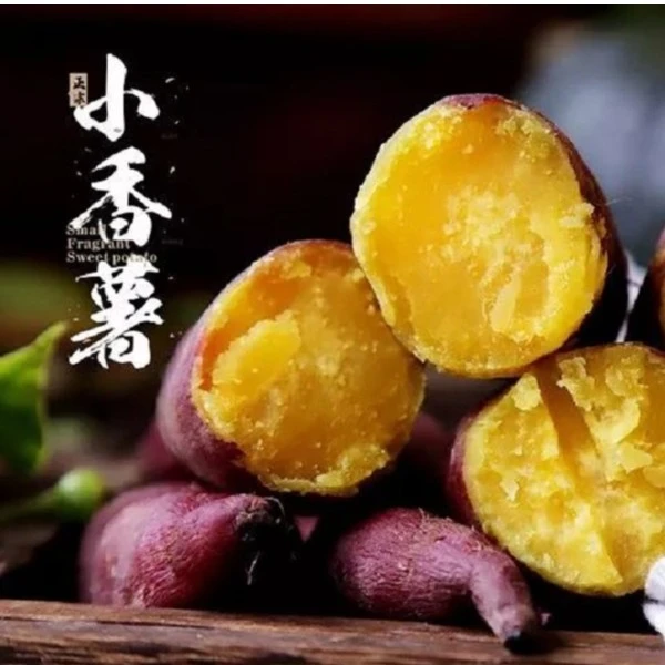 【玉山香薯妹家的小香薯】小香薯农家新鲜自种板票黄心拇指地瓜番薯