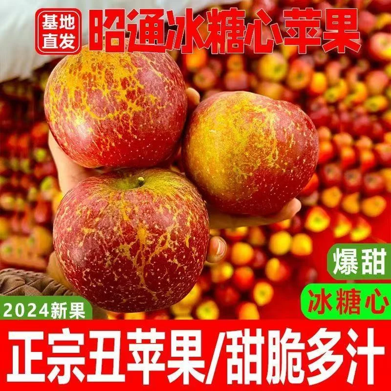 云南昭通高山高原丑苹果肉厚脆甜产地直发冰糖心多汁皮薄纯甜