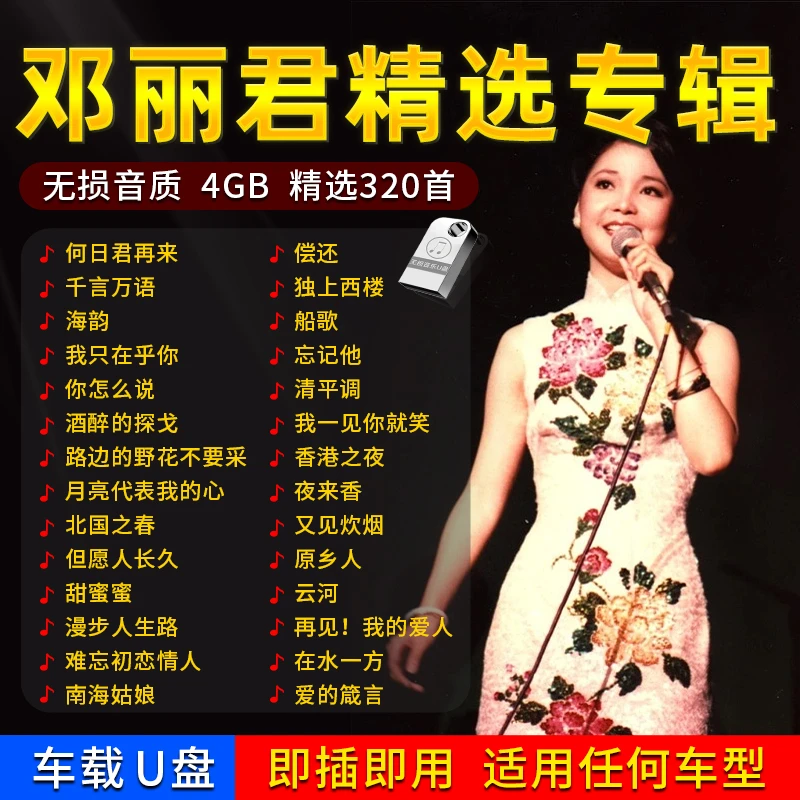 邓丽君专辑优盘经典老歌车载音乐U盘歌曲汽车无损高音质车专用usb
