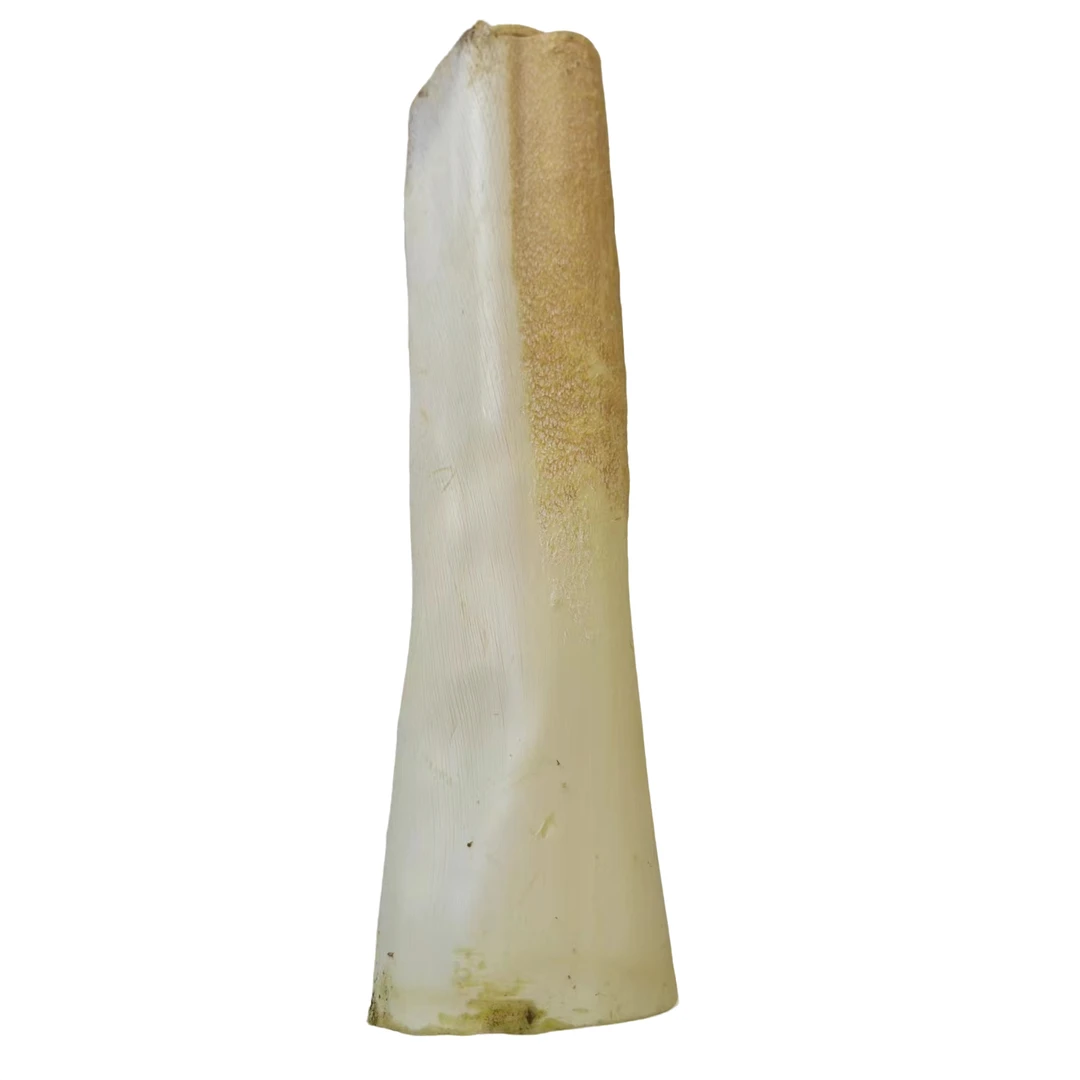 棕之元棕树尖选自高山棕纯天然绿色环保按件销售一件即可起拍