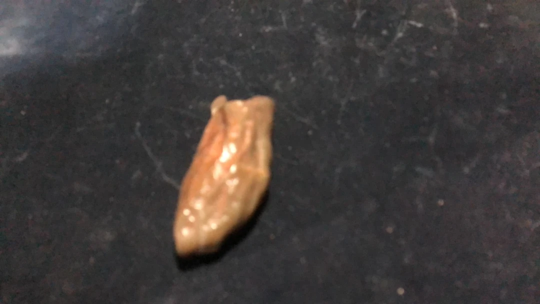 天然戈壁石奇石观赏石