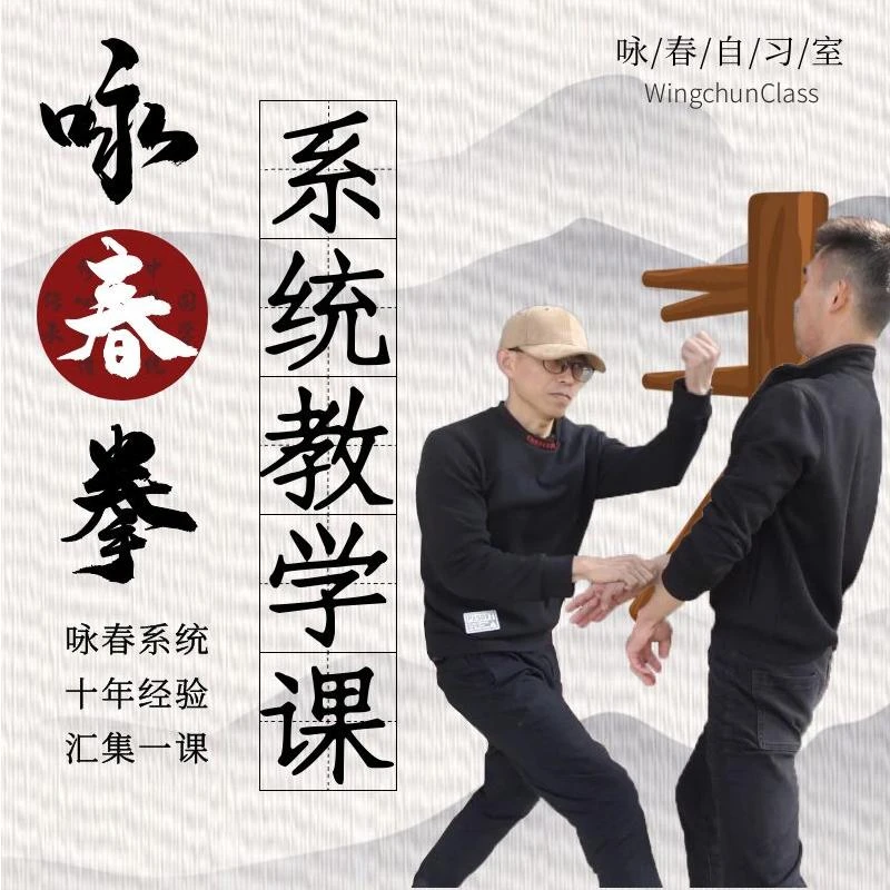 咏春拳系统教学课程 咏春拳自习室出品