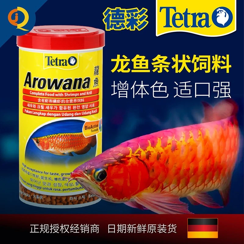 德国德彩龙鱼条状饲料金龙银龙红龙鱼专用鱼粮大型热带鱼观赏鱼食