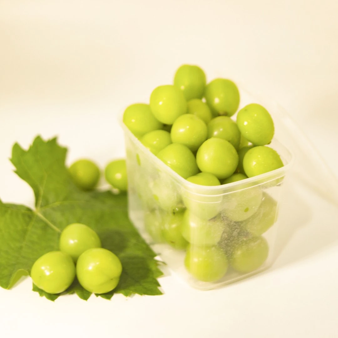 刘微笑果园精品阳光玫瑰1/3/5斤颗粒装葡萄青提饱满新鲜优选