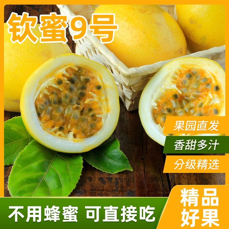 【二级果】广西钦蜜百香果皱皮果甜水果营养新鲜多汁蜜甜好吃
