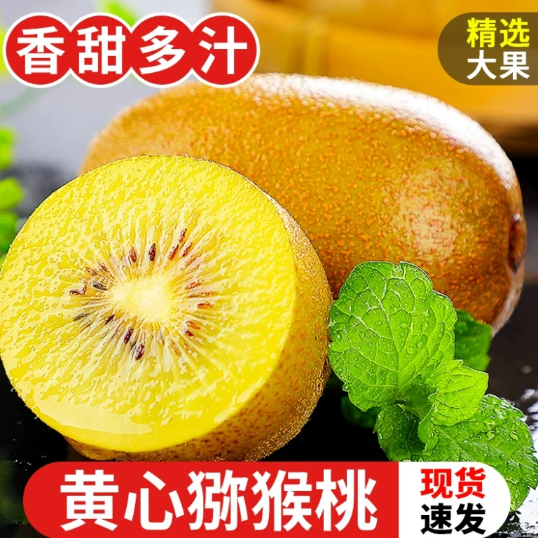 ☆中果-贵州黄心猕猴桃黄皮黄肉奇异果产地直发酸甜果香浓郁70-90