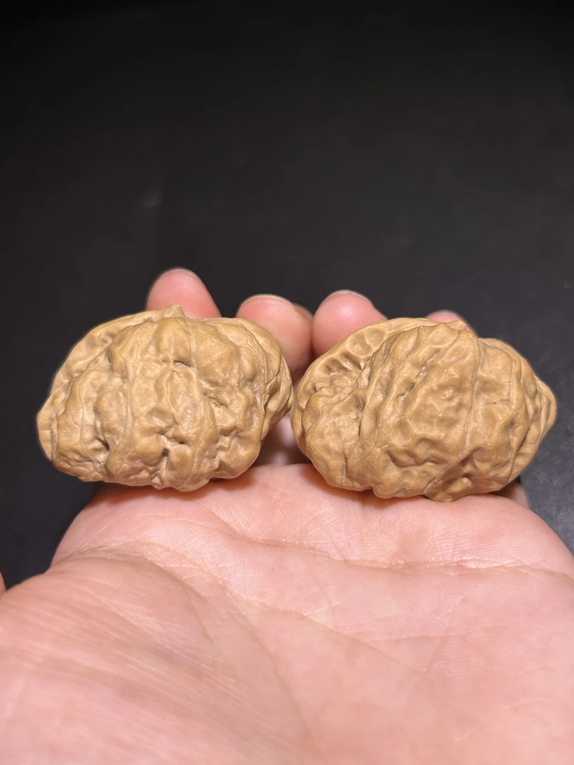蛤蟆头一帆风顺文玩核桃新手老手均可新手推荐核桃解压文玩